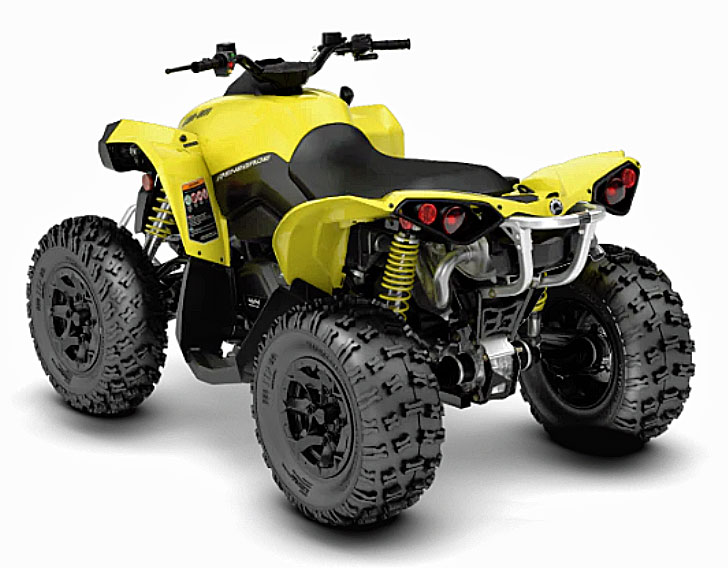 2019 can-am renegade rear